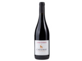 Saint Nicolas de Bourgueil 2022