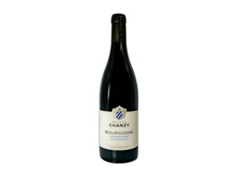 Bourgogne Pinot Noir Clos Michaud / Chanzy 2022