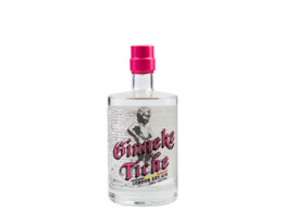 Ginneke Tiche 40 