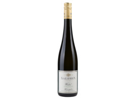 Gruner Veltliner  Wieden  2023